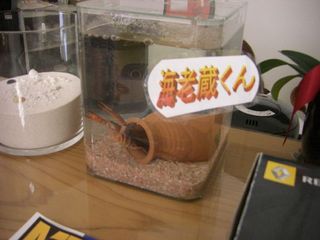 2011052802.jpg