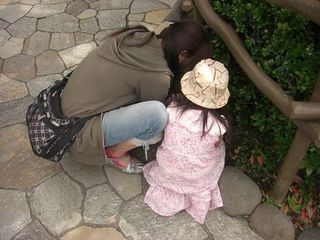 2011061502.jpg