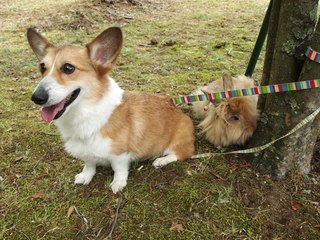 2012052706.jpg